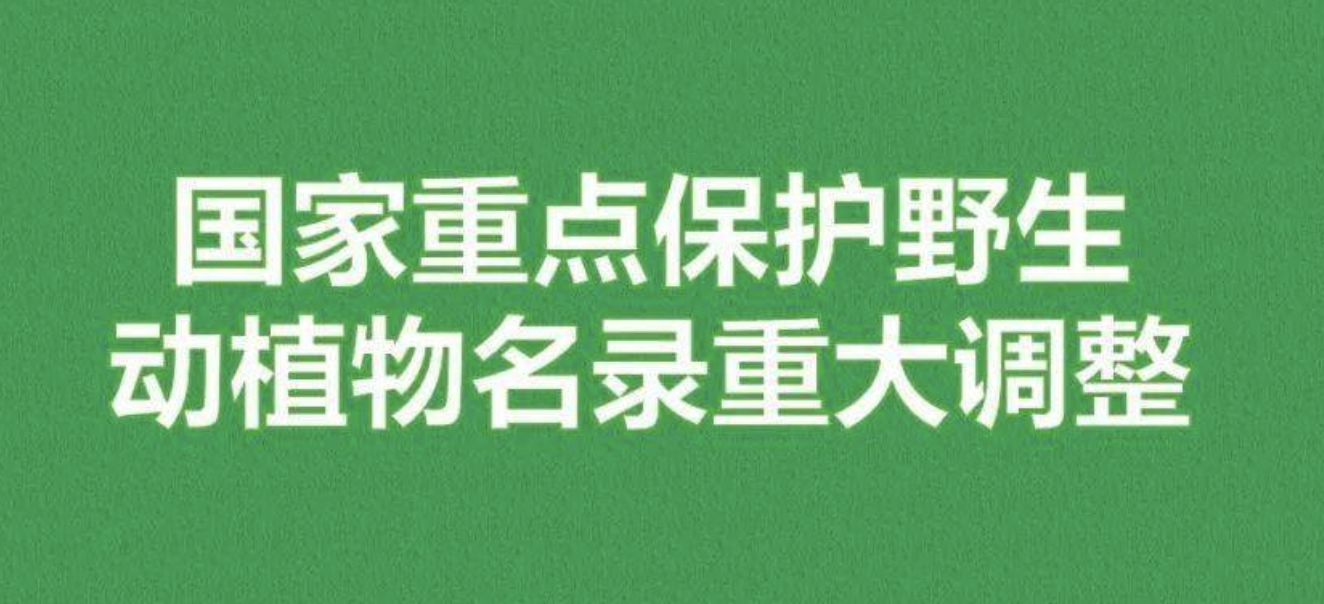 重磅！新版國(guó)家重點(diǎn)保護(hù)野生植物名錄公布，58種/屬列入一級(jí)保護(hù)，值得收藏